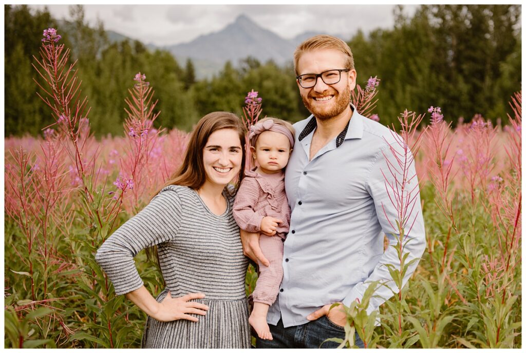 Alaska fireweed portraits