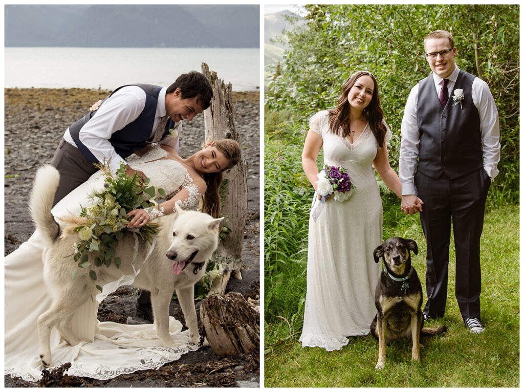 Dogs at elopement ceremonies