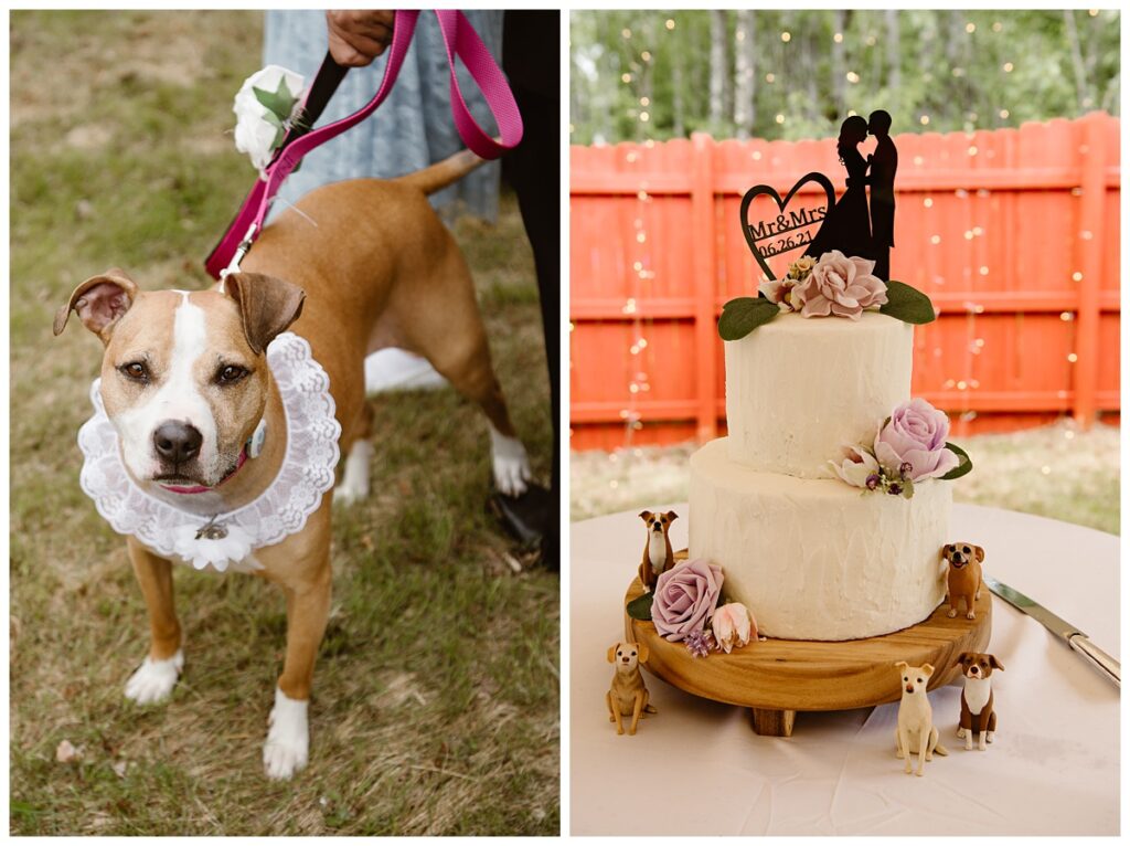 Dog wearing a lace collar at a wedding ceremony and depicted on the couple's cake.