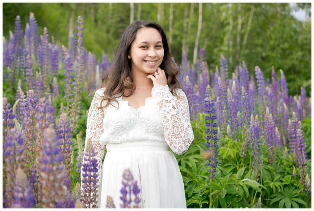 Alaska Lupine Field