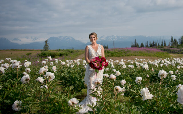 Bride in a field of Alaskan peonies.